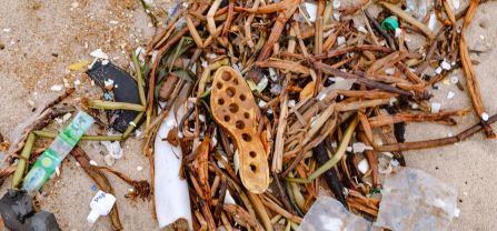 Ada-East District Assembly Hotspots