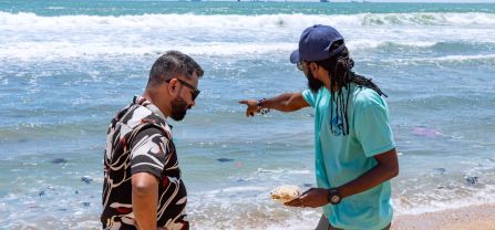 Turtle nesting beach in the Ningo-Prampram