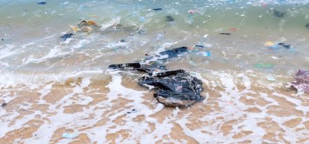 Turtle nesting beach in the Ningo-Prampram