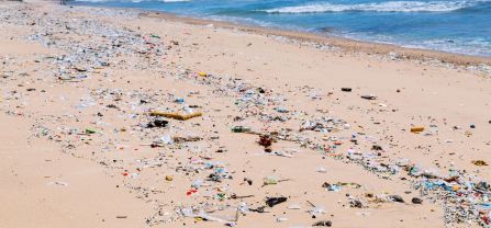 Turtle nesting beach in the Ningo-Prampram