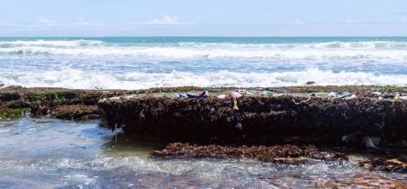 Turtle nesting beach in the Ningo-Prampram