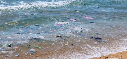 Turtle nesting beach in the Ningo-Prampram