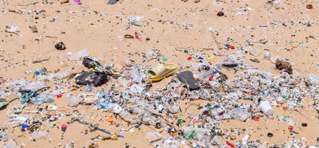 Turtle nesting beach in the Ningo-Prampram