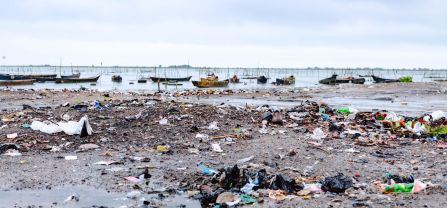 Banks of Anlo-Afiadenyigba