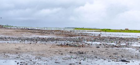 Banks of Anlo-Afiadenyigba