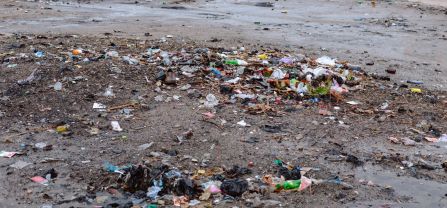 Banks of Anlo-Afiadenyigba