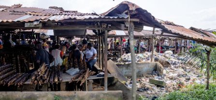 Marine litter hotspot Visit - Nsidung, Calabar