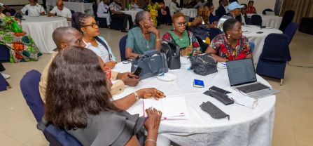 Stakeholder Workshop in Nsidung, Calabar