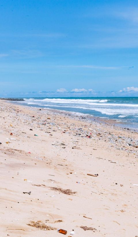 beach litter