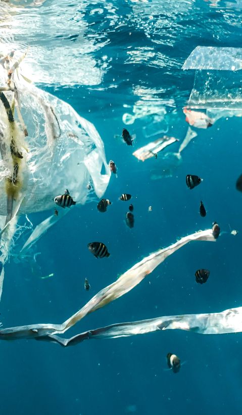 Naja Bertolt Jensen Bjuozu