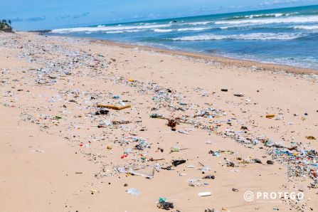Turtle nesting beach in the Ningo-Prampram