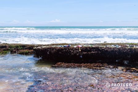 Turtle nesting beach in the Ningo-Prampram