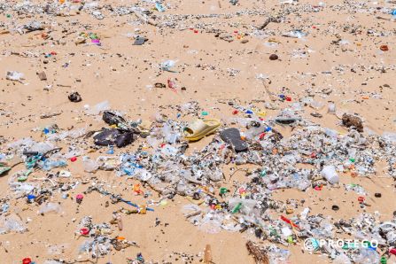 Turtle nesting beach in the Ningo-Prampram