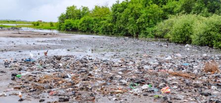 Banks of Anlo-Afiadenyigba