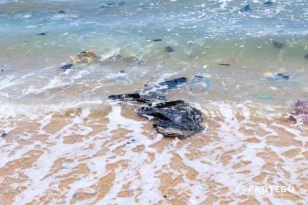 Turtle nesting beach in the Ningo-Prampram
